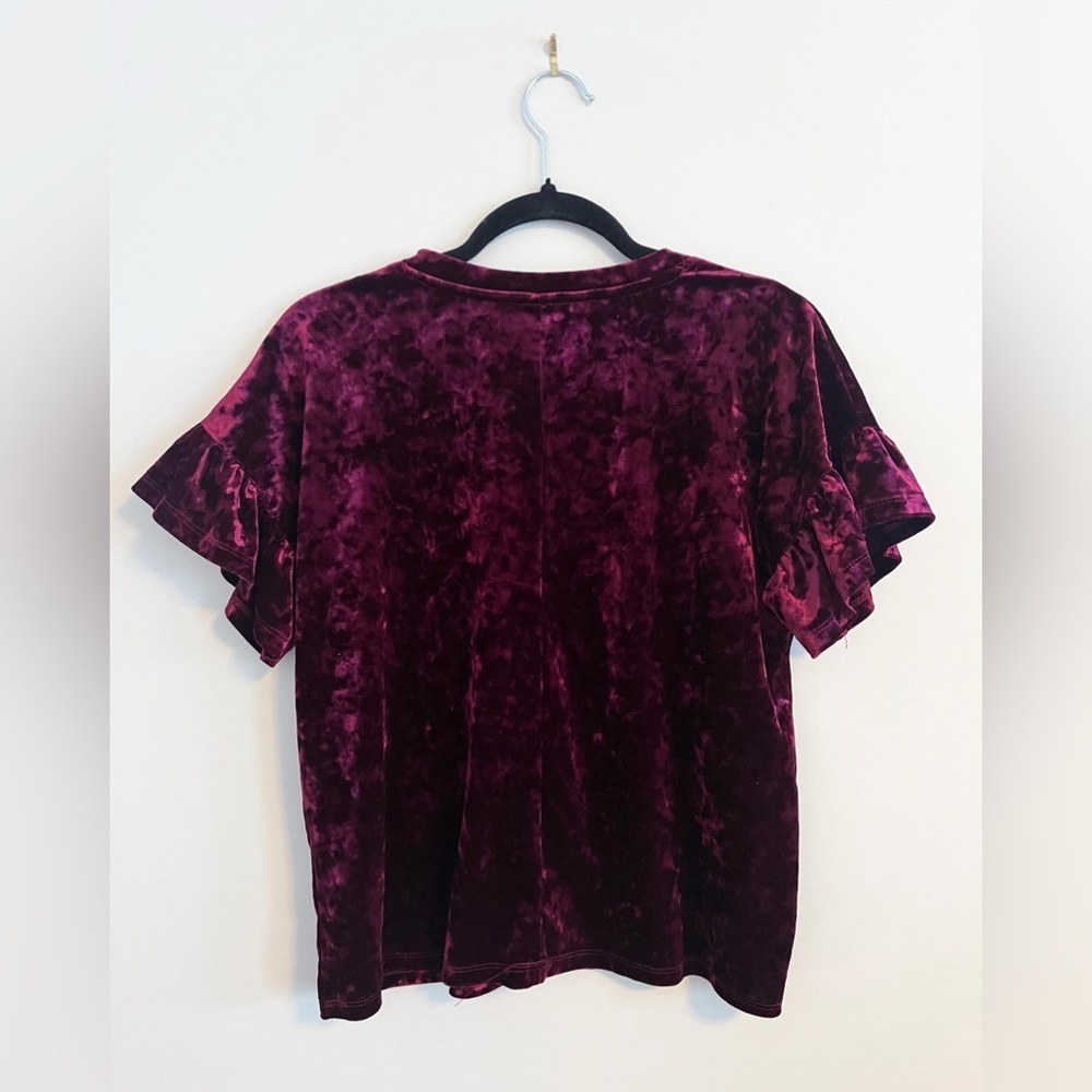 Altar’d State Velvet Top - Picture 7 of 10